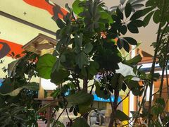 -桂满陇·蟹黄小笼汤包(中山公园店)