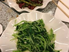 -文三里屯面馆(三里屯店)