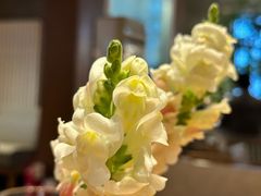 -山茶云南菜(永安里店)