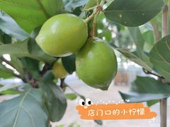 -白熊咖啡(闽江大道店)