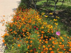 -永定河休闲森林公园