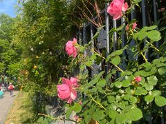 -杭州观成实验学校