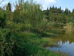 -敬亭山风景名胜区