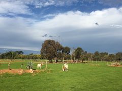 -威勒比开放式动物园