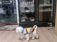 -重庆小面(贵友大厦店)