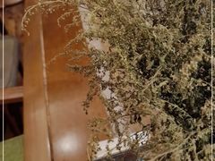 -端艾堂·SPA·艾灸(棕榈泉013店)