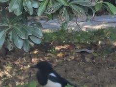 -合肥生态公园