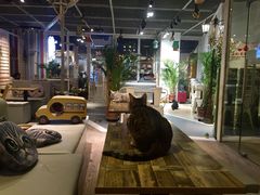 -小时光咖啡馆(开森度假森林店)