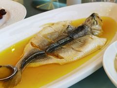 -圆苑(金茂店)