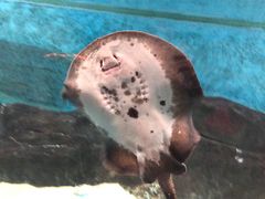 -苏州海洋馆
