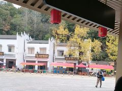 -千年银杏谷文化旅游区