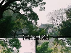 -岳麓山风景名胜区