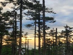 -秦岭风景区