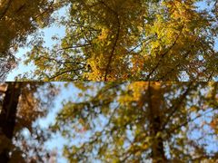 -昆嵛山石门里景区