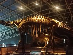 -世界恐龙谷景区