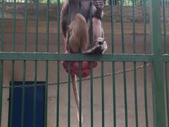 -广东茂名森林公园