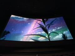 -金逸影城(武汉人信汇IMAX店)