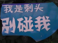 android_upload_pic-石家庄市植物园