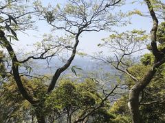 -梧桐山风景名胜区