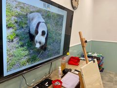 -学知乐教育·幼小衔接·小学科辅导(浦东外高桥森兰中心)