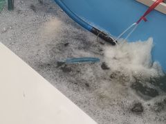 -老渔翁笨锅炖(迎宾路总店)