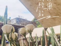 -MOJ coffee(瓯海泽雅水碓坑店)