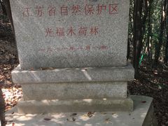 -香雪海
