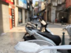 -洪馨椰子