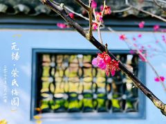 -无锡梅园公园