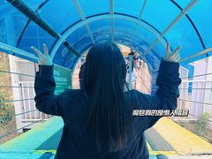-盈香心动乐园