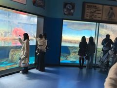 -海合安武汉极地海洋公园