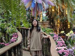 -正佳雨林生态植物园