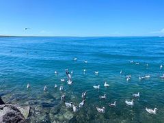 -青海湖国家重点风景名胜区