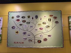 -上海昆虫博物馆