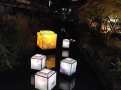 -拈花湾景区-五灯湖