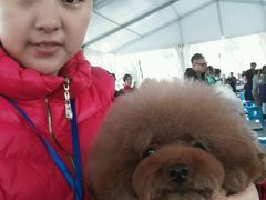 -家有小宠宠物美容(双楠街店)