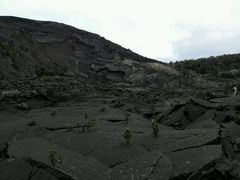 -夏威夷火山国家公园