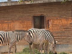 -石家庄市动物园