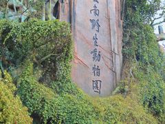 -云南野生动物园