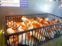 -J Create城市露营咖啡·简餐·宠物(上海动物园店)