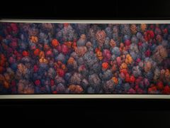 -罗红摄影艺术馆