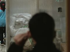 -溪岸路花鸟市场