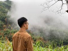 -塔川景区