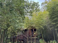 -洪湖悦兮半岛国际温泉度假村