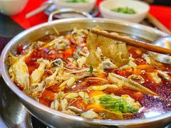 -蛙蛙鸡冷锅鱼(驷马桥店)