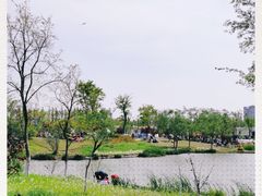 -上海长兴岛郊野公园