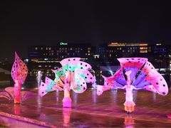 -欢乐海岸水秀剧场