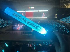 -深圳市体育中心体育馆主馆