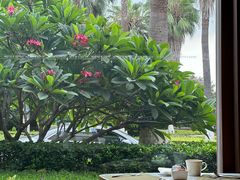 -厦门艾美酒店·新食谱西餐厅