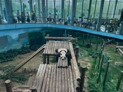 -大连森林动物园